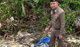 网红泰国失踪事件吃瓜,真相扑朔迷离，网友热议不断