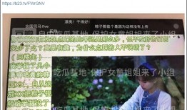 刘昕韩国最新爆料视频大全,揭秘娱乐圈不为人知的秘密