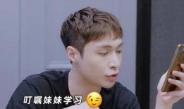 吃瓜黑料正能量爆料蘑菇视频,吃瓜黑料正能量，揭秘娱乐圈幕后真相