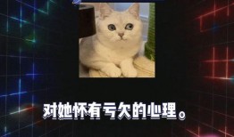八卦娱乐圈吃瓜手册,揭秘明星幕后故事，手册带你探秘娱乐圈风云