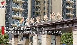 最新爆料广东