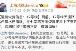 最新地铁爆料新闻视频下载,揭秘最新爆料视频背后的秘密与进展