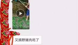 猪肉爆料视频播放大全,揭秘行业真相与食品安全