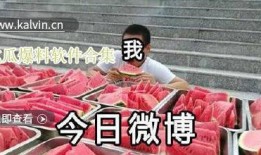 吃瓜视频爆料视频在线观看,独家爆料视频在线观看，带你一探究竟