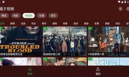 明星八卦爆料素材视频,明星幕后故事大曝光！
