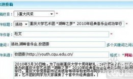 爆料投稿新闻格式要求,揭秘某知名企业涉嫌违规操作内幕