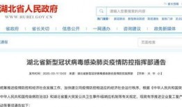 湖北最新爆料新闻,揭秘神秘事件背后的真相