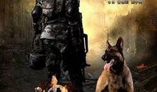电视剧神犬奇兵在线观看,忠诚守护，战火中的生死兄弟