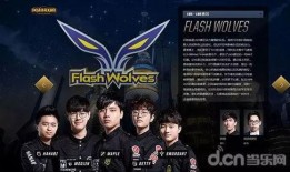 三支战队爆料视频大全下载,精彩瞬间尽收眼底