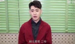 二爷最新爆料消息视频播放,热点事件背后的真相揭晓