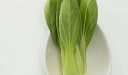 青菜爆料视频大全下载,揭秘幕后真相，带你领略网络风云