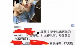 二狗子邻居爆料视频播放,揭秘背后惊人真相