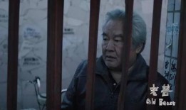 老杨爆料第七集视频,揭秘惊人内幕，真相令人震惊！