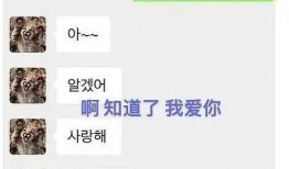 黄旭熙的微博视频爆料,娱乐圈真相曝光