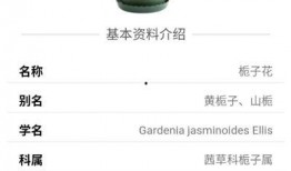 最新 植物爆料软件下载,最新下载指南，解锁植物世界新奥秘