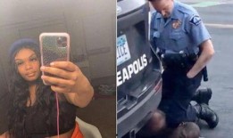 女子爆料杀柯基视频大全,网络暴力与动物保护的反思