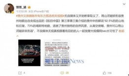 山河集团爆料事件视频大全,揭秘真相与争议