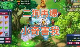 梦幻二狗爆料视频,带你走进神秘视频背后的故事