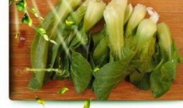 青菜爆料视频大全下载,揭秘幕后真相，带你领略网络风云